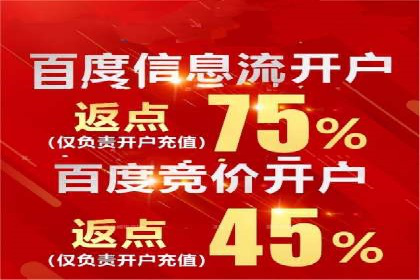 竞价推广公司案例：实战技巧与策略
